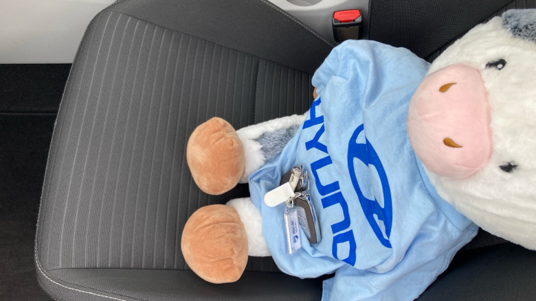 Hyundai i20 1.0T GDi 48V MHD Ultimate 5dr Petrol Hatchback